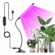 Lampa Sideon LED Grow Uprawy Roślin Biurkowa Parapetowa Mocny Klips 1 Ramię